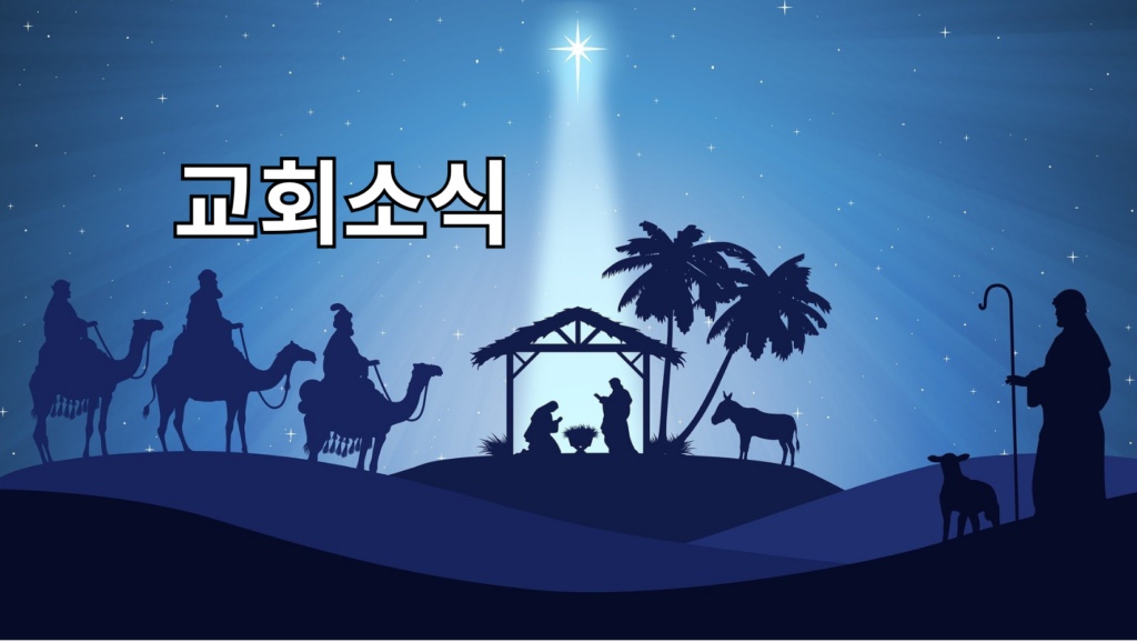 2025년 12월 21일 주보