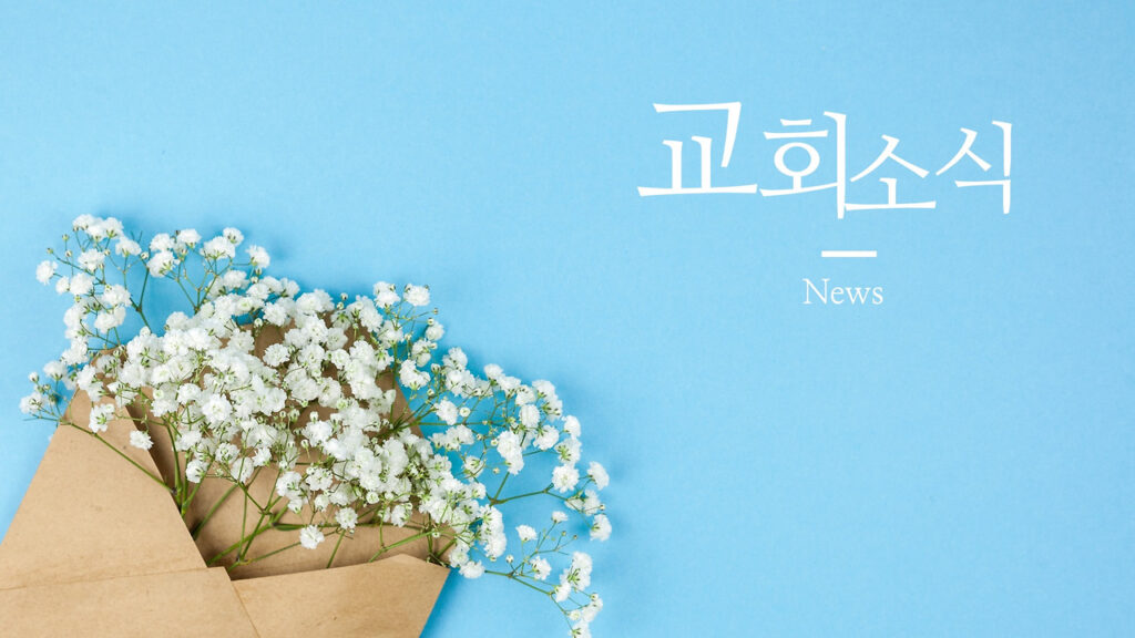 이번주 교회소식